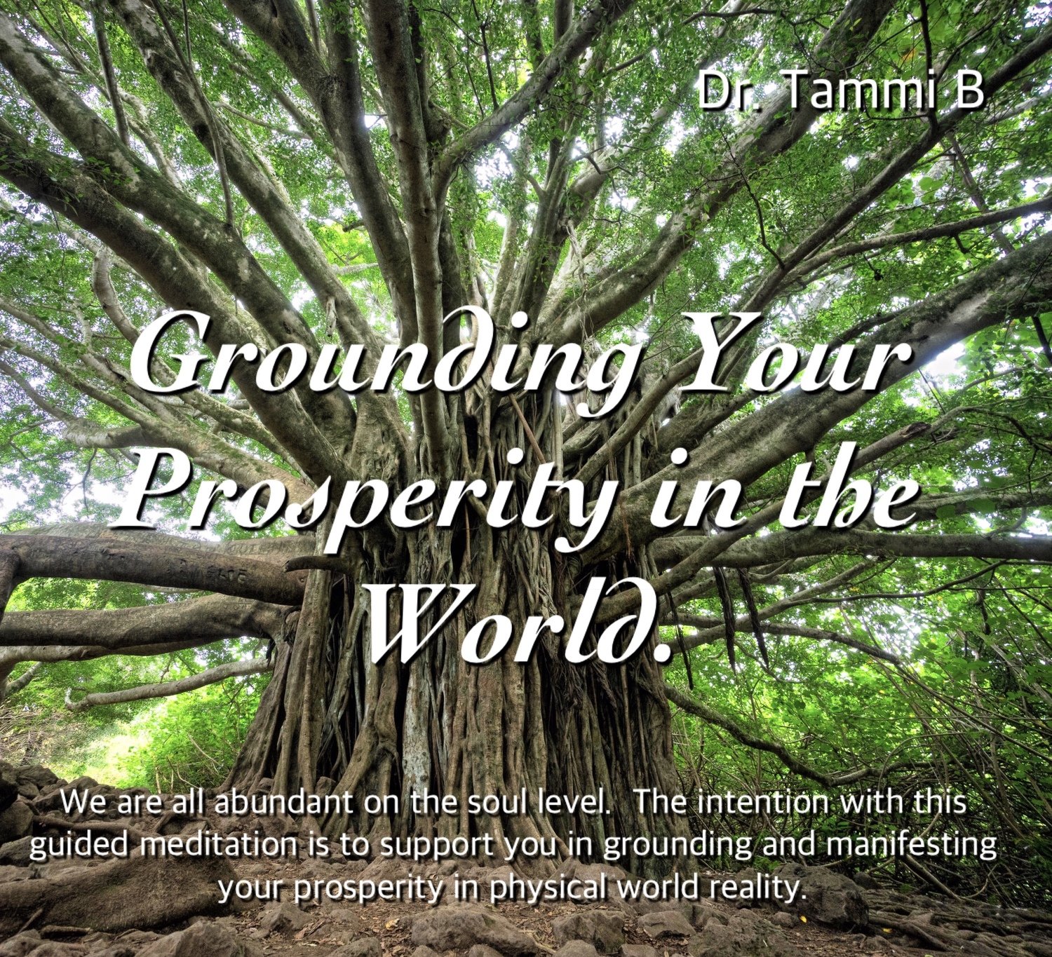 grounding prosperity meditation