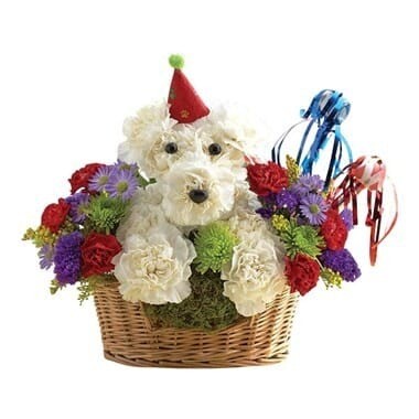 Happy Birthday Dog-Able Happy Birthday Dog-Able
