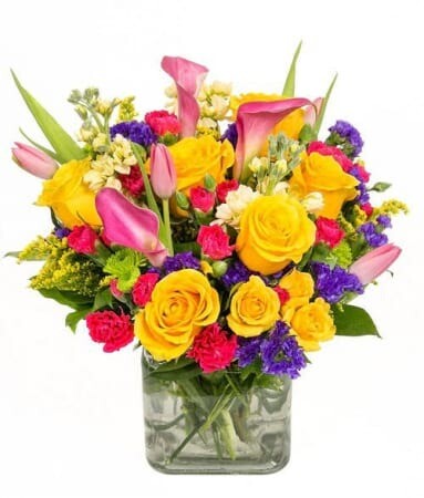 Radiance Of Flowers Radiance Of Flowers