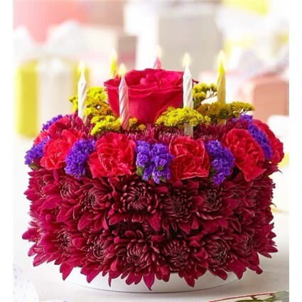 Flower Fiesta Flower Fiesta