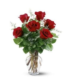 Half Dozen Red Roses Half Dozen Red Roses
