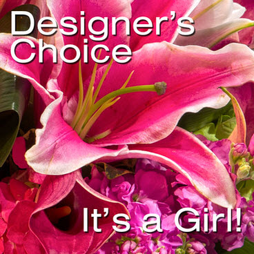 It's A Girl Blooms It's A Girl Blooms