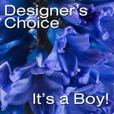 It's A Boy Blooms It's A Boy Blooms