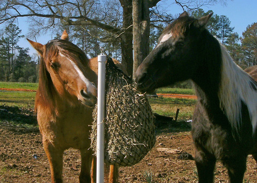 Hay Net Feeder Plans