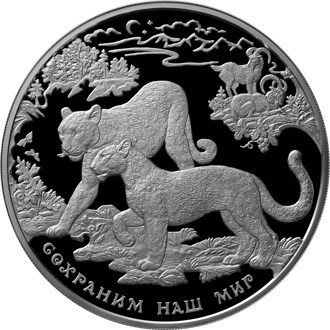 РФ. 2011. 100 рублей. ММД. Серия: Сохраним наш мир. Переднеазиатский леопард. 0.925 Серебро 32.1543 Oz., ASW., 1083.74 g. Proof-like. Mintage: 500 РФ. 2011. 100 рублей. ММД. Серия: Сохраним наш мир. Переднеазиатский леопард. 0.925 Серебро 32.1543 Oz., ASW., 1083.74 g. Proof-like. Mintage: 500