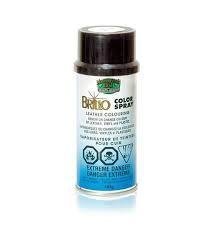 Shoe Spray Paint 114