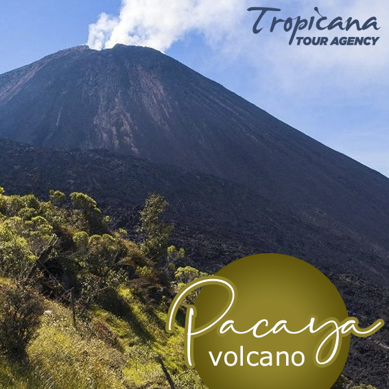 PACAYA Volcano Tour PACAYA Volcano Tour