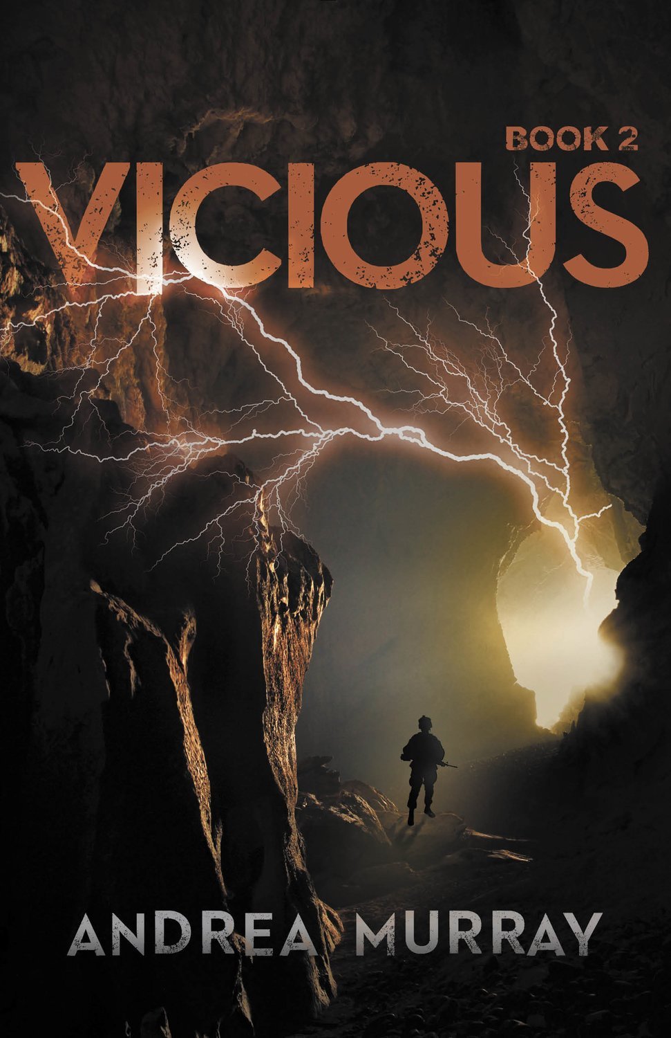 Store Vicious (Book 2)