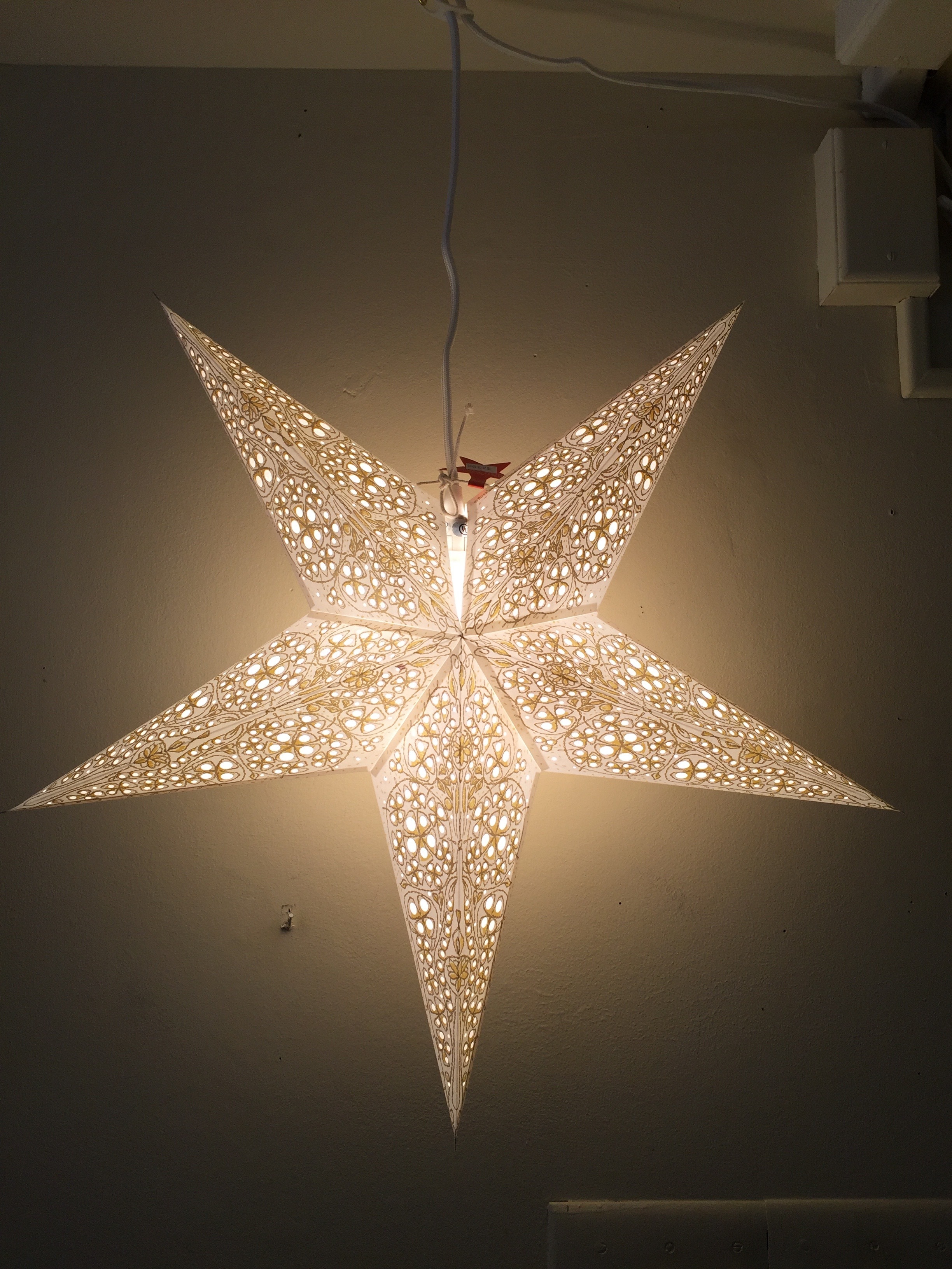White Swati Star 00026