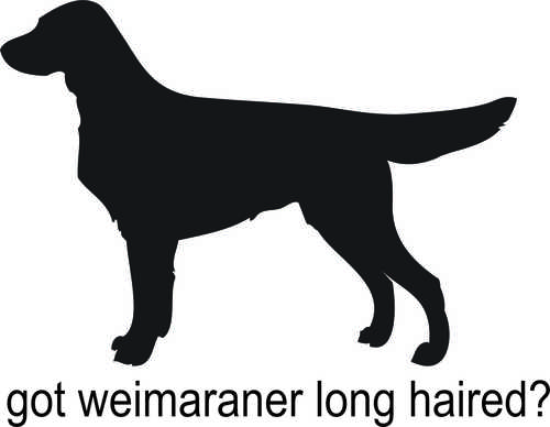 Dt 1352 Got Weimaraner Long Haired Vinyl Sticker Decal
