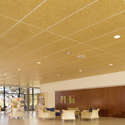 Bioline Wood Ceiling Tiles