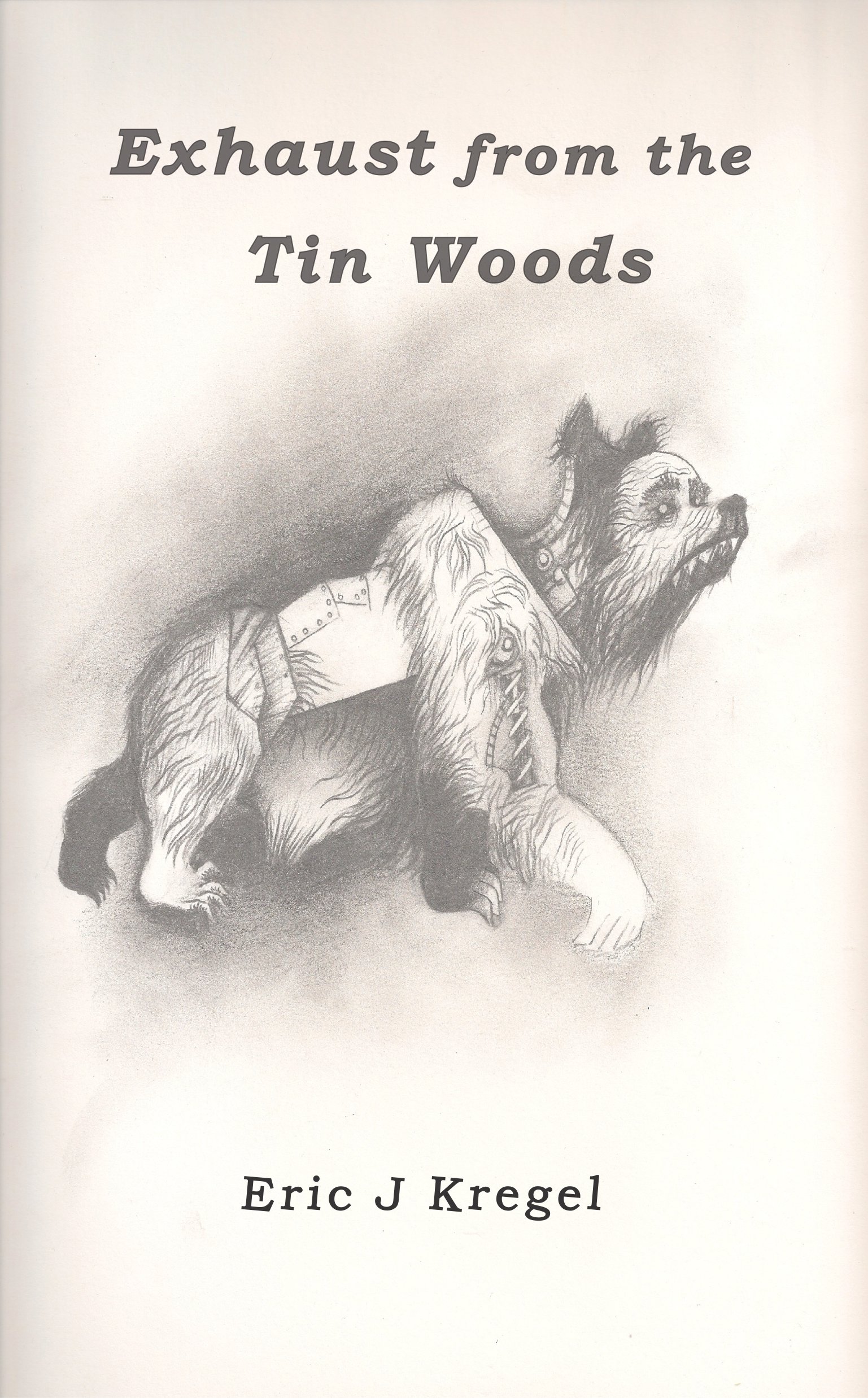 Exhaust from the Tin Woods: 2nd Edition ebook EJK18DE001