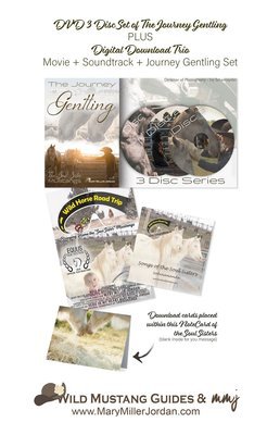 The ULTIMATE SOUL SISTERS GIFT SET! --> DVD of Gentling Set + Digital Download + Digital Download of MOVIE + Digital Download of SOUNDTRACK + Soul Sister Note Card The ULTIMATE SOUL SISTERS GIFT SET! --> DVD of Gentling Set + Digital Download + Digital Download of MOVIE + Digital Download of SOUNDTRACK + Soul Sister Note Card