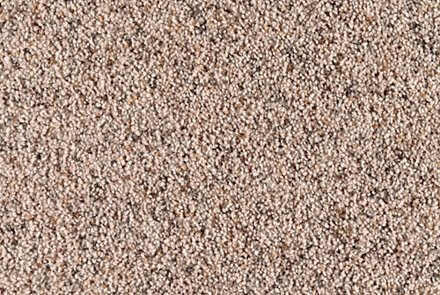 Carpet
