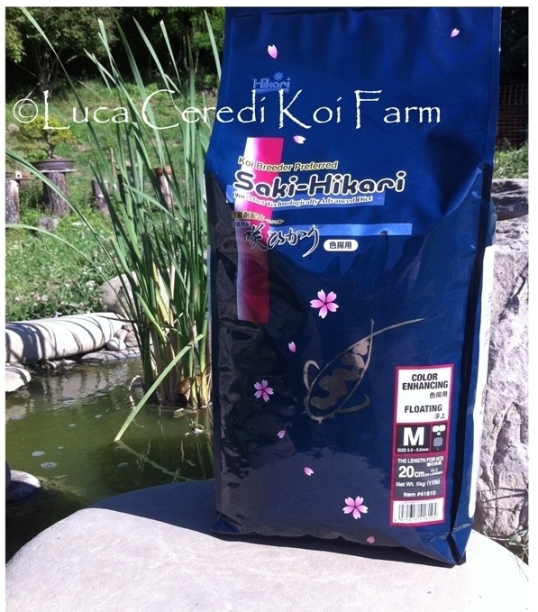 Saki-hikari color enhancing 5 Kg. 00233