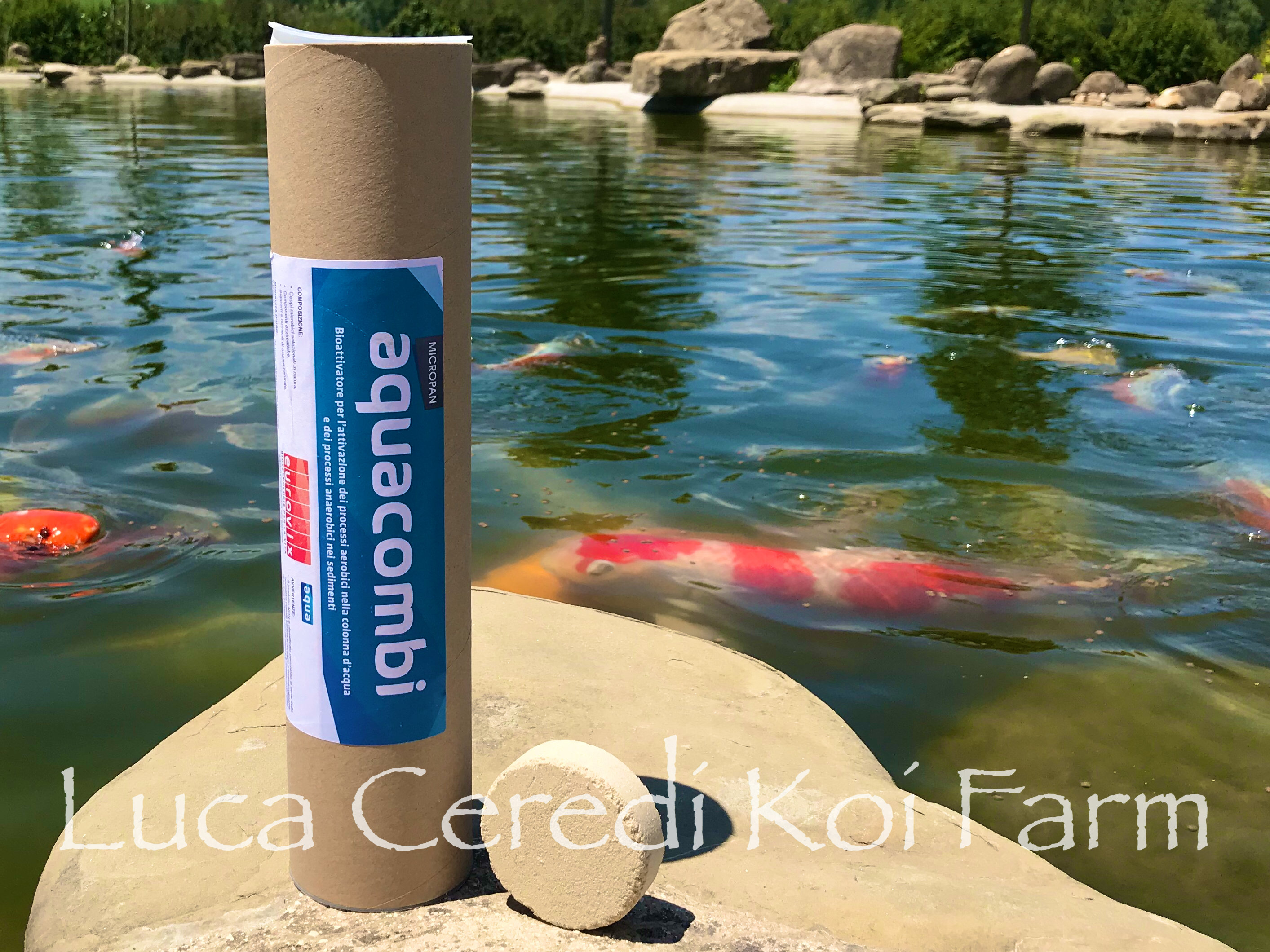 batteri depuranti in compresse specifico per il fondale Aquacombi 00187