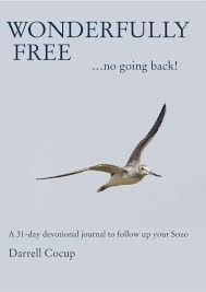 Wonderfully free book 00023