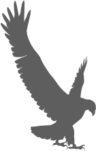 aetos Verlag