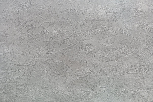 Магнолия - фон. арт. Е29404