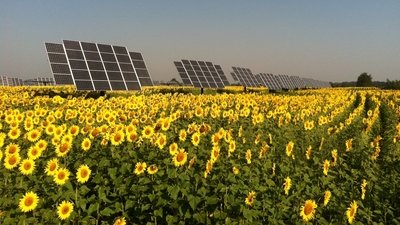 Cleantech Solar Tracker PV Photovoltaik System - frei stehende, der Sonne nachgeführtes System zur Strom- Erzeugung - Einfache Selbstmontage oder Aufbau durch unsere Fachleute ab... Cleantech Solar Tracker PV Photovoltaik System - frei stehende, der Sonne nachgeführtes System zur Strom- Erzeugung - Einfache Selbstmontage oder Aufbau durch unsere Fachleute ab...