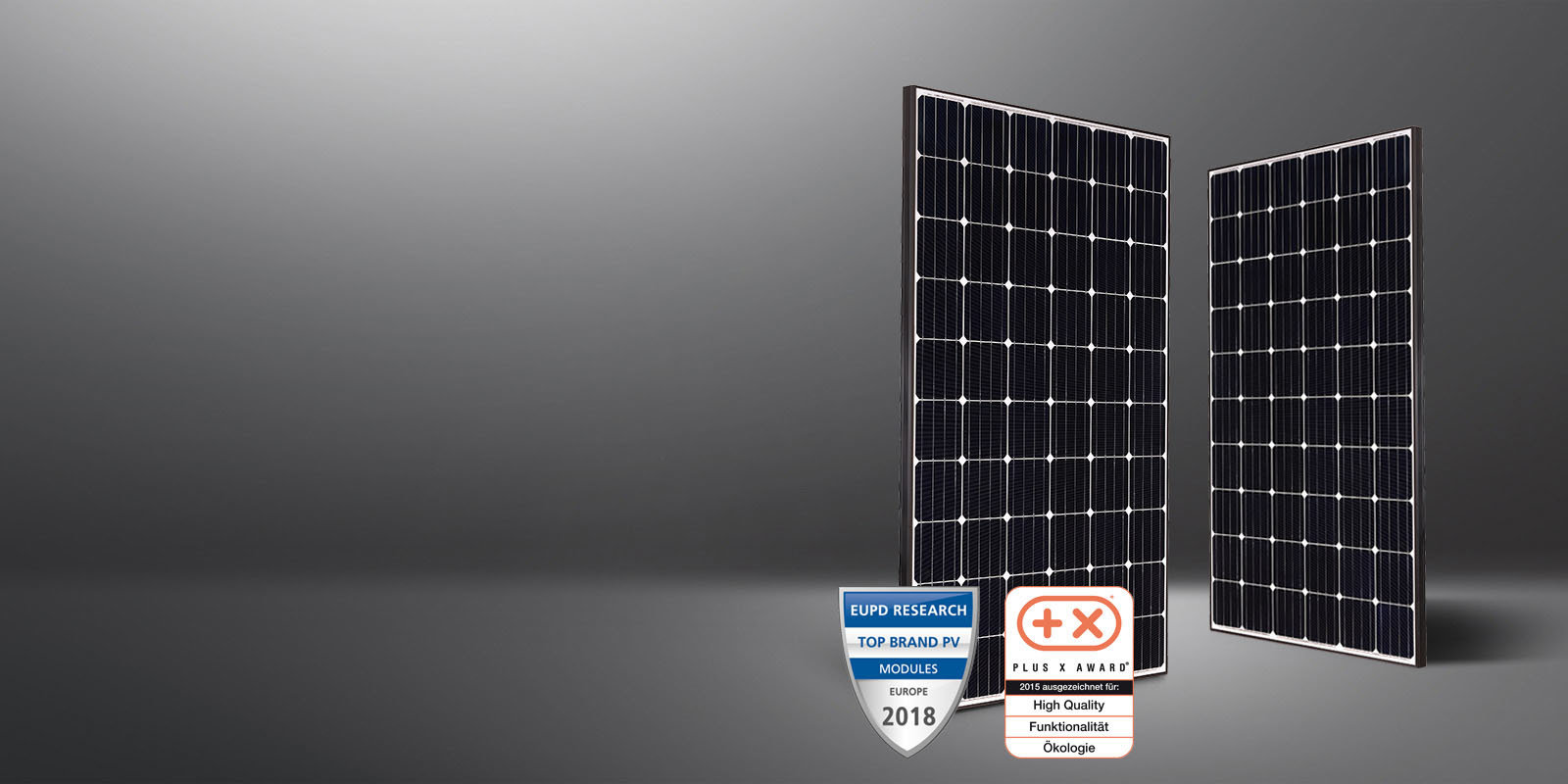 myCleantechSolarPower™ - LG Solarpannel Mono X Plus Typ (C) - Musterbild