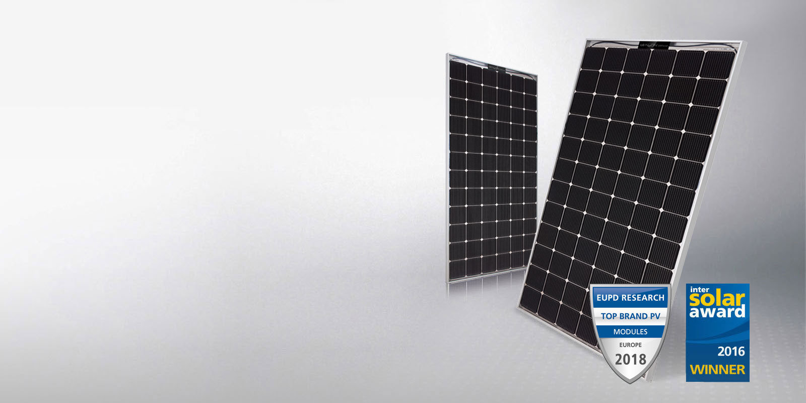 myCleantechSolarPower™ - LG Solarpannel NeON2 bifacial Typ (C) - Musterbild