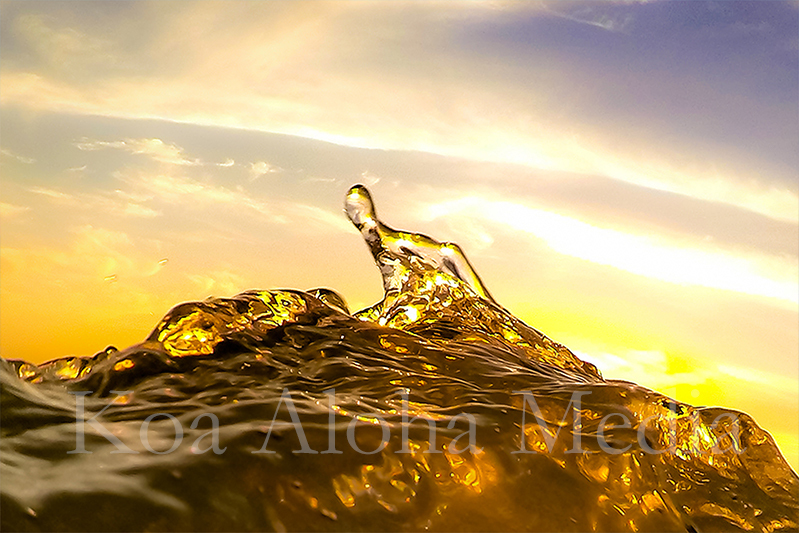 PRINT: Golden 13024