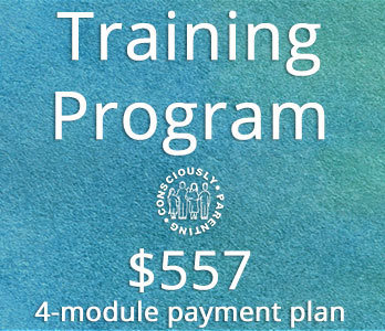 Training Program - Payment Plan - Module 1 of 4 00136