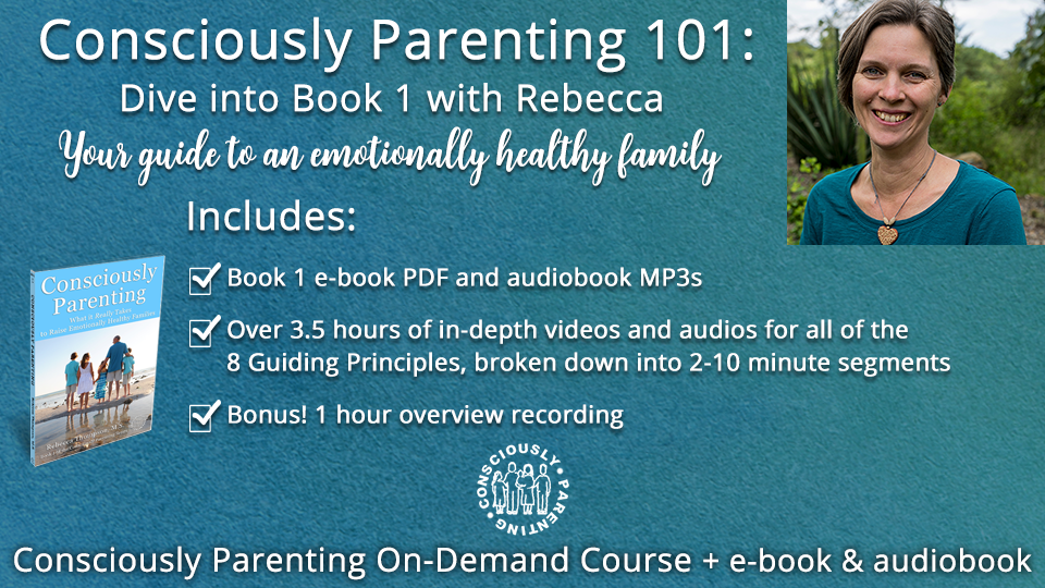 Consciously Parenting 101: Dive into Book 1 with Rebecca (pay what you can) 00149