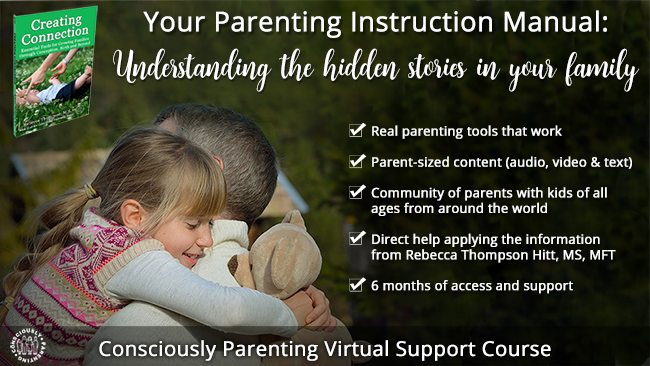Your Parenting Instruction Manual: Pay-what-you-can 6-month Support Course Your Parenting Instruction Manual: Pay-what-you-can 6-month Support Course