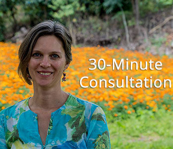Half Hour Consultation 00114