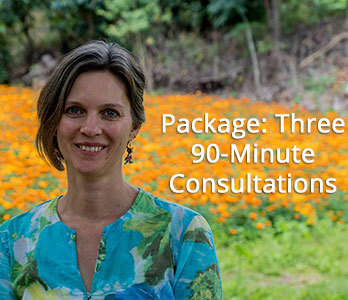 Package- Three Ninety-Minute Consultations Package- Three Ninety-Minute Consultations