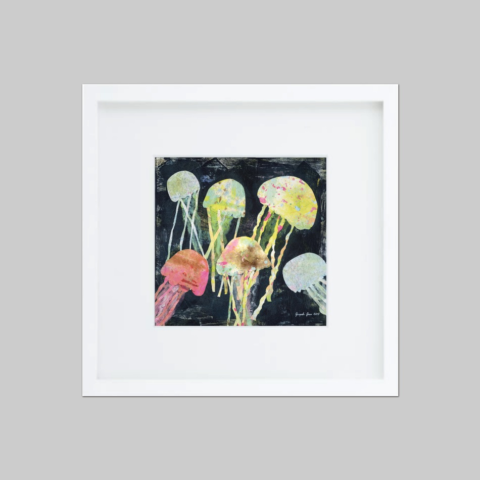 Jelly Fish 00072