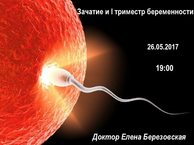 Запись вебинара «Зачатие и I-й триместр беременности» 00012