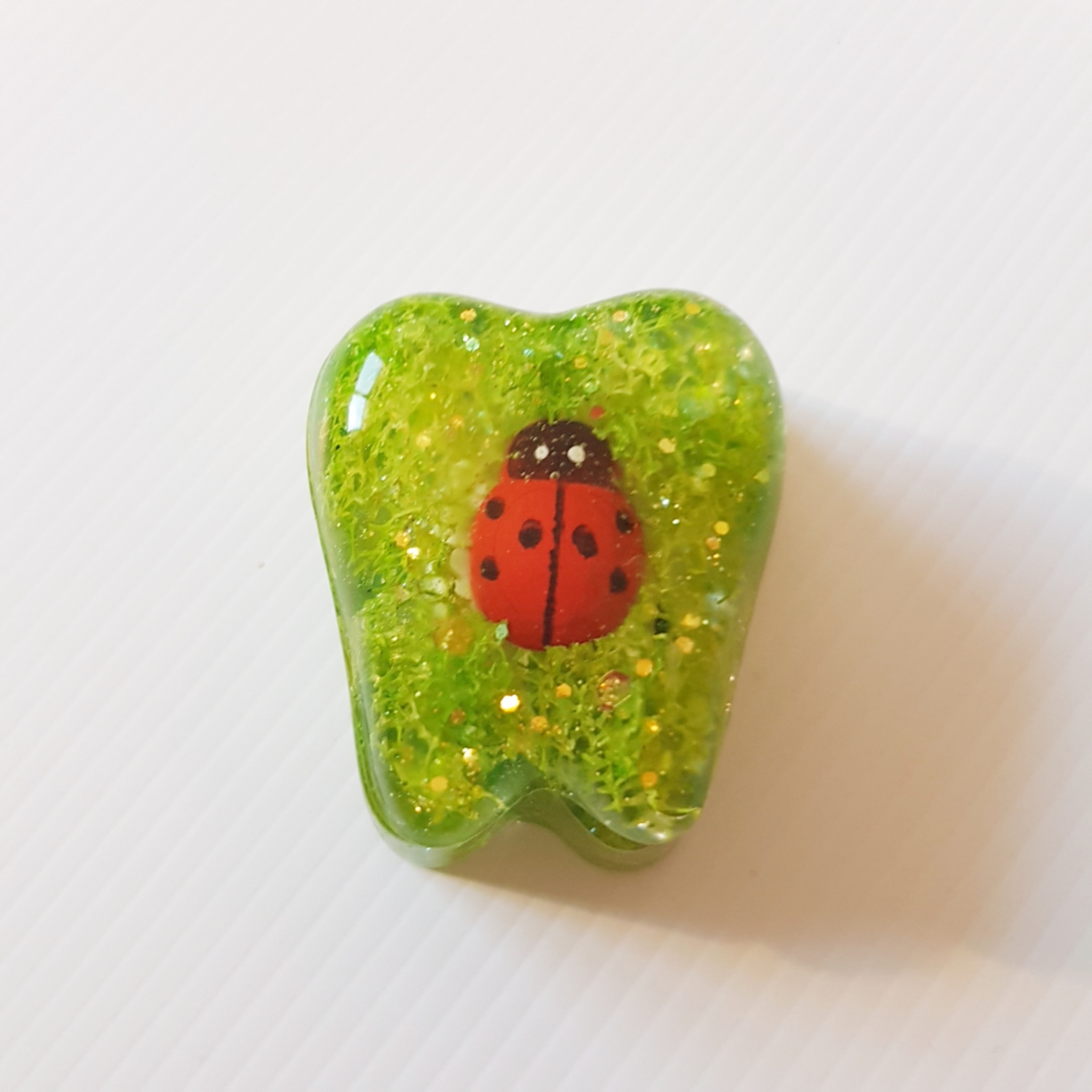 Tooth Fairy Box Ladybird 00310