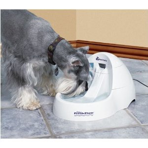 Electronic Cat And Dog Feeders Deluxe Fresh Flow 3l 108oz With