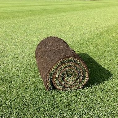 Family Lawn Turf - FROM £2.28 per m2 NW-Turf-FLT