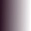 Shading Black PSTR-101