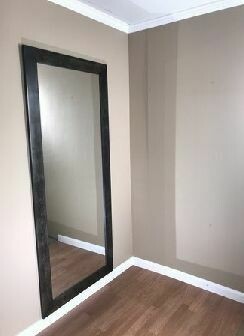 Mirror Door