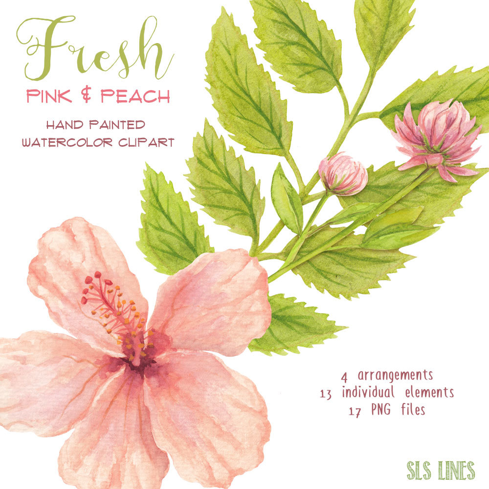 Fresh Pink & Peach Hibiscus Florals