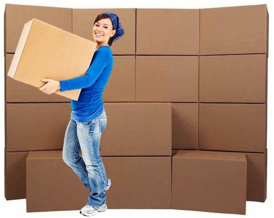Medium Moving Boxes - Bundle of 20 Boxes MMB-20