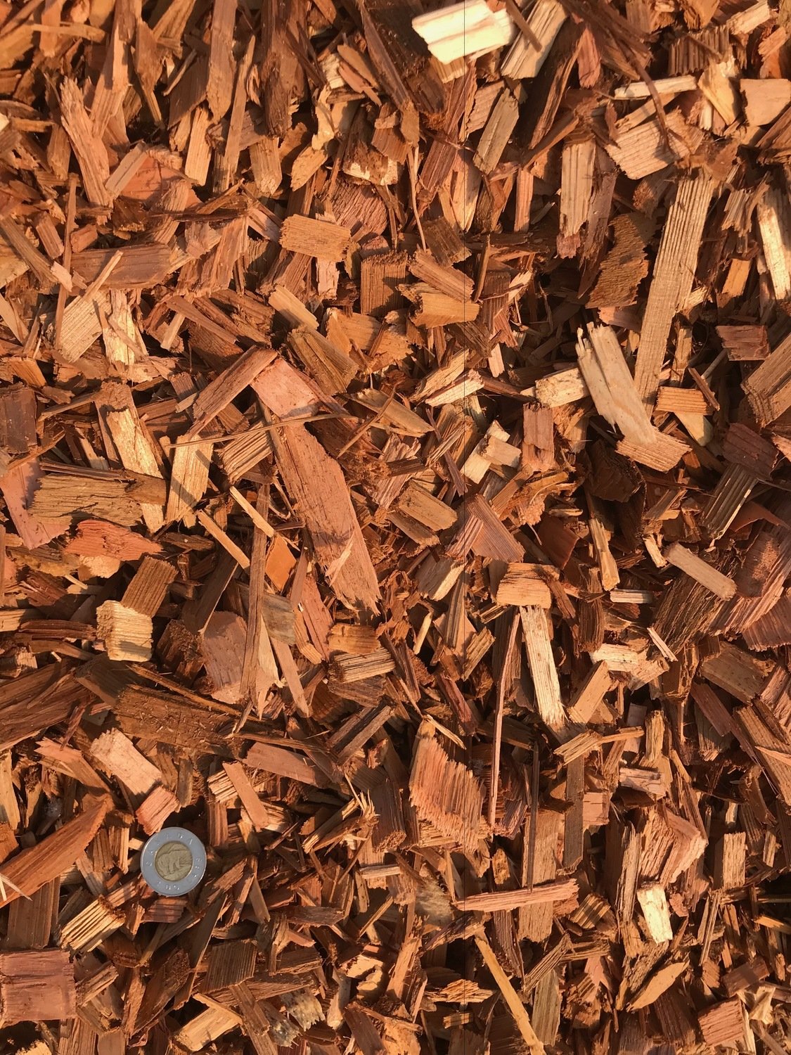 Cedar Wood Chips (cu.yd) Island Cache Stone Company