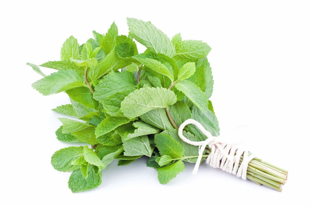Euca "NEW" Peppermint Eucalyptus Dish Washing Powder - 10kg = 500 Washes - Eco Friendly with No Fillers or other nasties