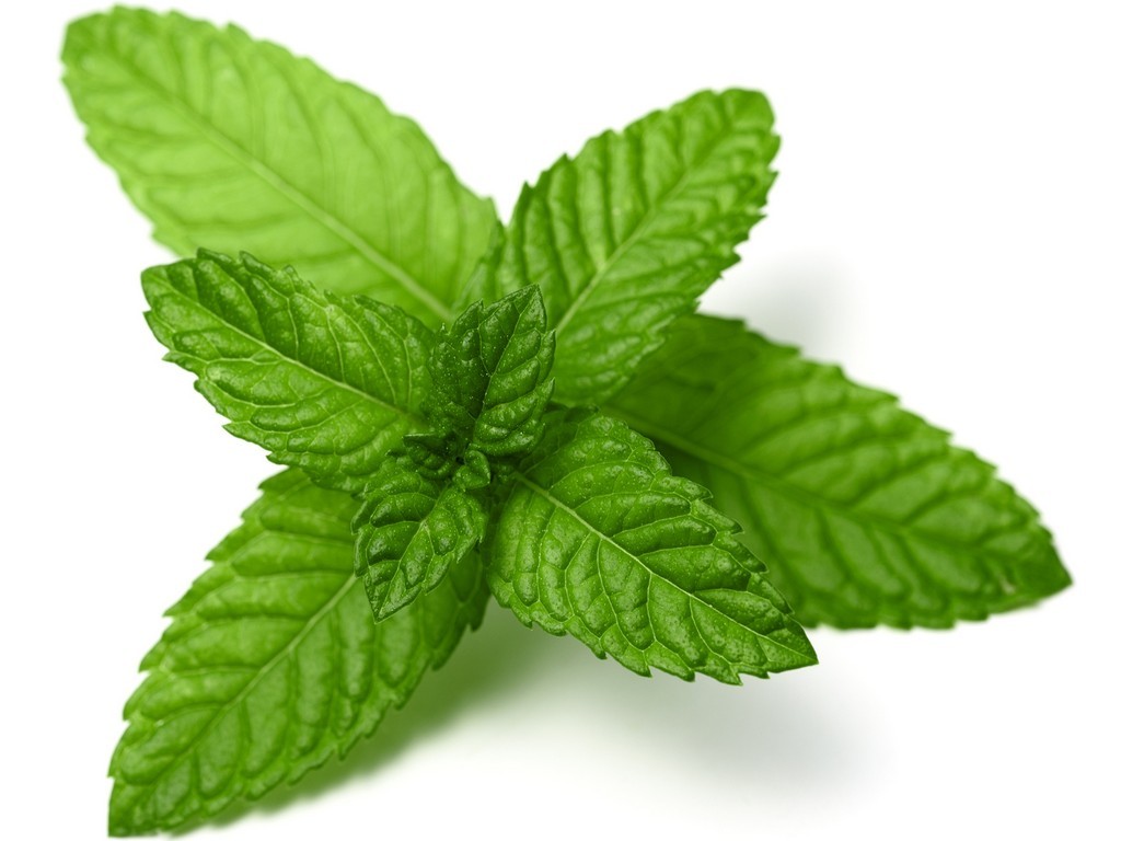 Euca "NEW" Peppermint Eucalyptus Dish Washing Powder - 10kg = 500 Washes - Eco Friendly with No Fillers or other nasties