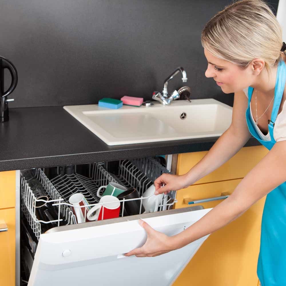 clean the inside of your dish washer while you wash