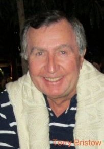 Terry Bristo