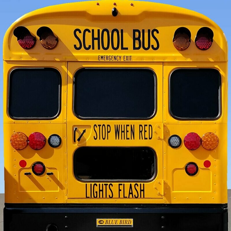 Download School Bus Decal Store - Yellow Bus Decals