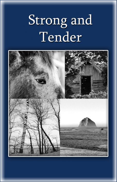 Strong and Tender ( A book for grieving fathers) 978-0961519773