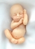 Baby Innocence: Model of a baby at 12-13 weeks (light skin tone) M-12wh-Innoc 636225539805