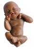 Baby Innocence: Model of a baby at 12-13 weeks (dark skin tone) M-12BK-Innoc 636225539799